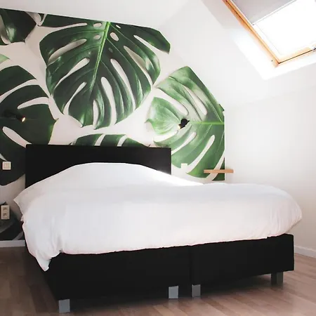 Couette-café B&B Villa Verde